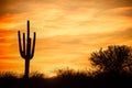 The sun setting over the desert under a cloudless sky with a saguaro cactus in the foreground Royalty Free Stock Photo