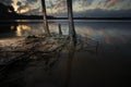 Sun setting over exposed tree roots at a lake