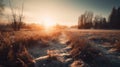 the sun is setting over a field with snow on the ground and grass in the foreground and trees in the background, with a path in Royalty Free Stock Photo