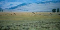 The sun setting over the Lamar Valley near the northeast entrance of Yellowstone National Park in Wyoming