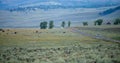 The sun setting over the Lamar Valley near the northeast entrance of Yellowstone National Park in Wyoming