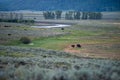 The sun setting over the Lamar Valley near the northeast entrance of Yellowstone National Park in Wyoming