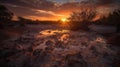 the sun is setting over the water in the desert area of a desert area with rocks and trees in the foreground and a few bushes in Royalty Free Stock Photo