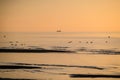 Sun setting at the sea with sailing cargo ship, scenic view. Beach and calm sea. Defocused. Royalty Free Stock Photo