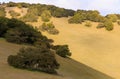 Sun and shade on golden grassy hills of Marin County in Northern California