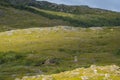 Sun shifting Padjelanta National Park Next to Big Lake Virihaure