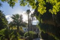 The sun shines through the beautiful trees in the botanical garden Jardi Botanic de Valencia in Valencia, Spain Royalty Free Stock Photo