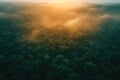 The sun shines through the clouds, casting a warm glow over a dense forest, A sunset view of a dense forest from above, AI Royalty Free Stock Photo