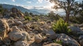 The sun shines down on the boulder fields casting dramatic shadows and highlighting the different textures of the