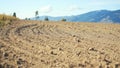 Sun shines on dry ploughland field, small forest and mountains background, camera slides slowly