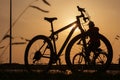 The sun shines through the frame of a bicycle with silhouette of bicycle rider