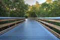 Sun shines through mangrove trees that line a Boardwalk leading down to the beach of Clam Pass