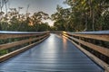 Sun shines through mangrove trees that line a Boardwalk leading down to the beach of Clam Pass