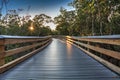 Sun shines through mangrove trees that line a Boardwalk leading down to the beach of Clam Pass