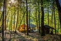 Sun shines through tall trees surrounding a small cabin in the forest next to the Rogue River in Oregon Royalty Free Stock Photo
