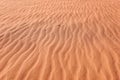 Sun shines to red desert sand, wind formed small ridges, closeup detail