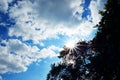 The sun shines through the trees in the sky Royalty Free Stock Photo