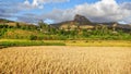 Sun shines on wheat fields in foreground, green and yellow rice terrace fields on small hills, clay houses and rocky mountain Royalty Free Stock Photo