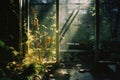 the sun shines through a window in a room filled with plants Royalty Free Stock Photo