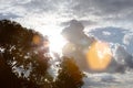 Sun behind clouds and backlighted tree with flares