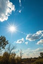 Sun Shining and Blue Sky Royalty Free Stock Photo