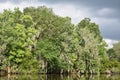 Sun Shining Through Dark Gray Clouds in the Bayou