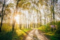 Sun Shining Through Forest Woods Over Lane, Country Road. Path, Royalty Free Stock Photo
