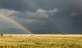 Sun shining on grassland under storym and rain Royalty Free Stock Photo