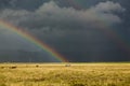 Sun shining on grassland under storym and rain Royalty Free Stock Photo