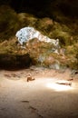 Sun Shining Through a Hole in the Aruba Cave Ceiling Royalty Free Stock Photo