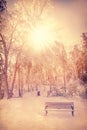 Sun Shining in an Ice Covered Park Royalty Free Stock Photo