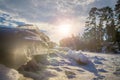 Sun shining through the ice hammocks