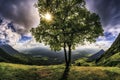 Sun shining through leaves on lone tree standing on mountain with valleys hills and mountains in backdrop