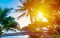 Sun shining over Grande Anse shore in Guadeloupe at sunset Royalty Free Stock Photo