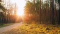 Sun shining over road, path, walkway through forest. Sunset Sunr Royalty Free Stock Photo