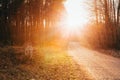 Sun shining over road, path, walkway through