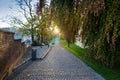 Sun shining over road, path, walkway through forest. Sunset Sunrise In Autumn Coniferous Forest Trees. Panorama Royalty Free Stock Photo