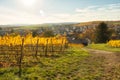 Sun shining over a vineyard and village Royalty Free Stock Photo