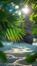 Sun Shining Through Palm Tree Leaves Royalty Free Stock Photo