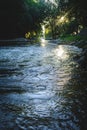 Sun shining thru the green leaves tree branch on a blue river Royalty Free Stock Photo