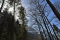 Sun shining through the trees and peaks of Alps near of Lake Kloental Royalty Free Stock Photo