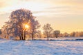 Sun shining through the trees at sunset in a wintery landscape Royalty Free Stock Photo