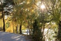 Sun shining through trees to path along lake in golden forest landscape during the autumn season. Royalty Free Stock Photo