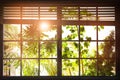 Sun shining through window in morning Royalty Free Stock Photo