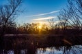 Golden Hour Lake Tree Silhouette