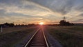 The sun sinking in the blue sky, the railway line and the amazing view of the green plants