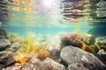 sun spots illuminating the crystal clear water of a natural spring Royalty Free Stock Photo