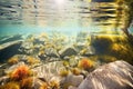 sun spots illuminating the crystal clear water of a natural spring Royalty Free Stock Photo