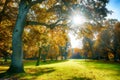 Sun is shining through beautiful old trees with colorful autumn leaves in an old park, seasonal nature background Royalty Free Stock Photo