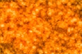 Sun star surface with solar flares.